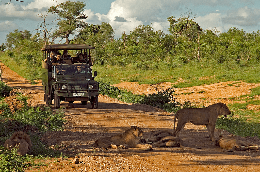 Mpumalanga Day Tours