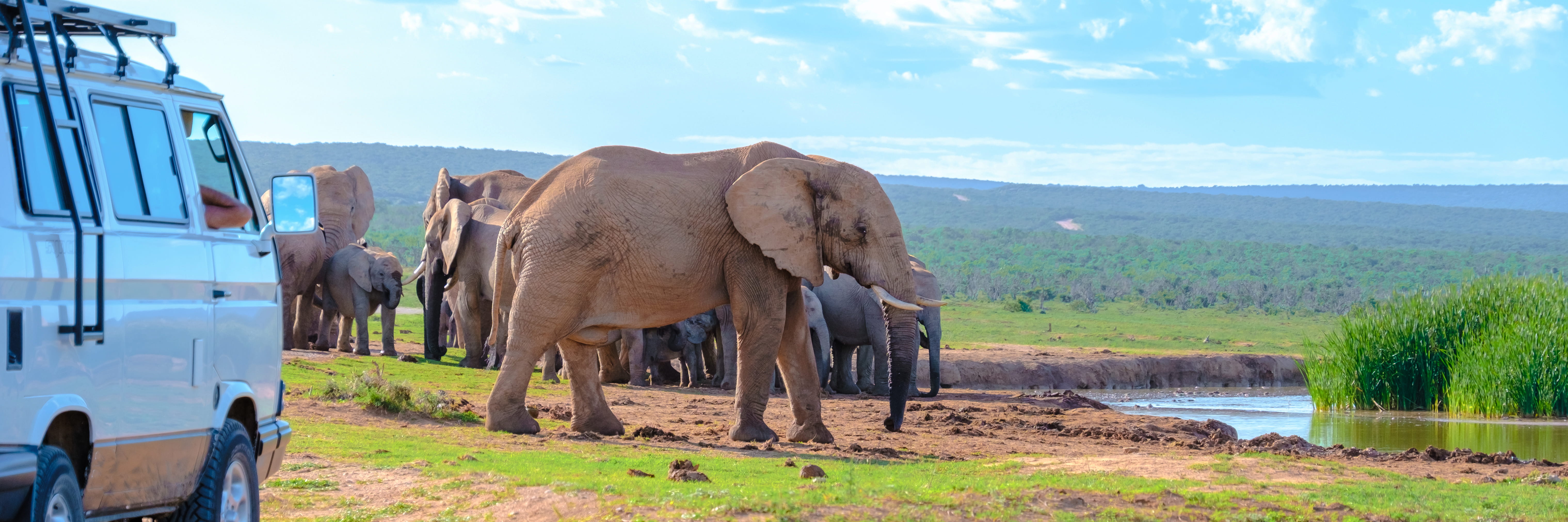 Buja Tours team in the African bush