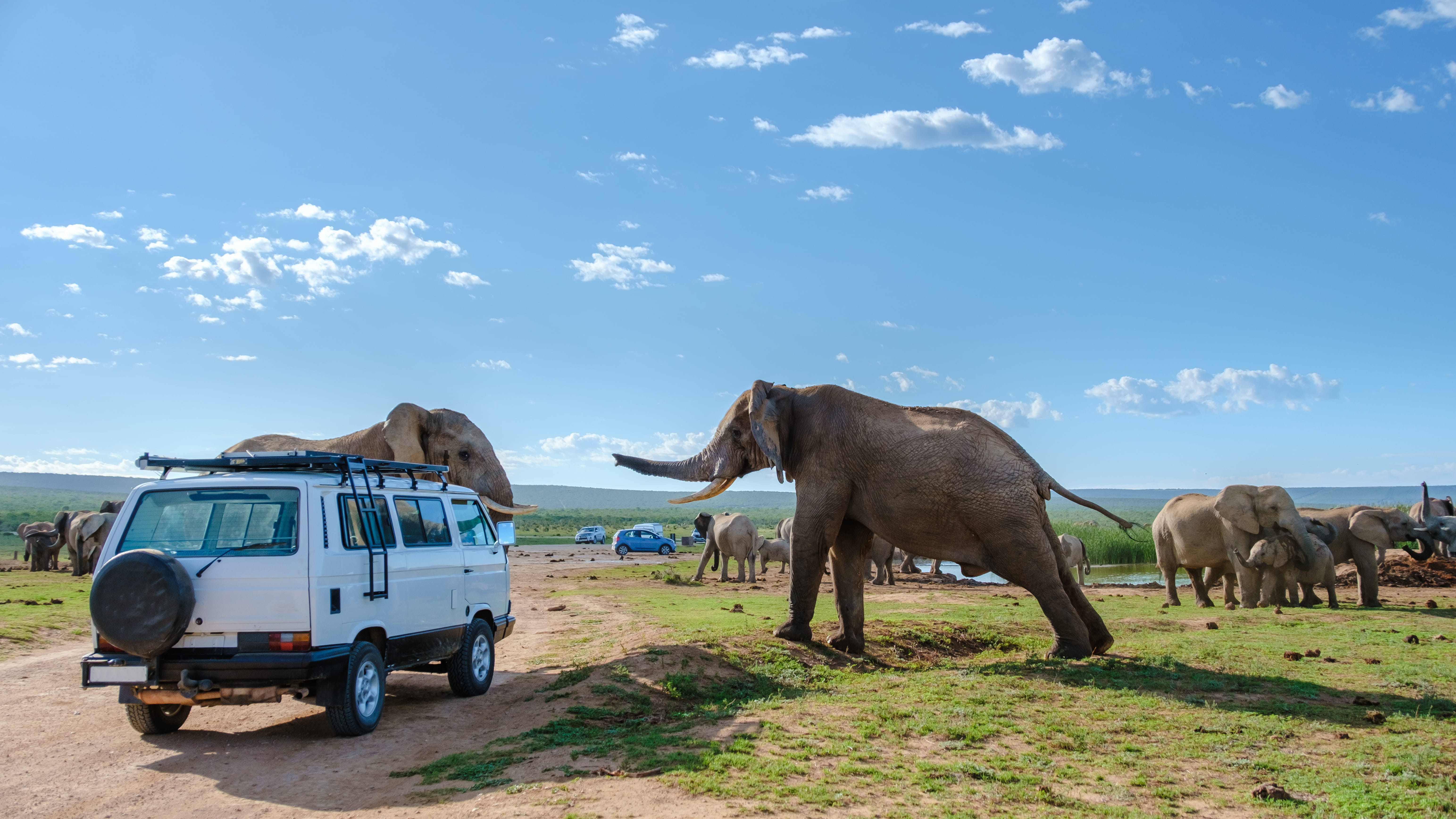 addo-elephant-park-south-africa-family-of-elephan-2026-03-17-20-21-24-utc (1)