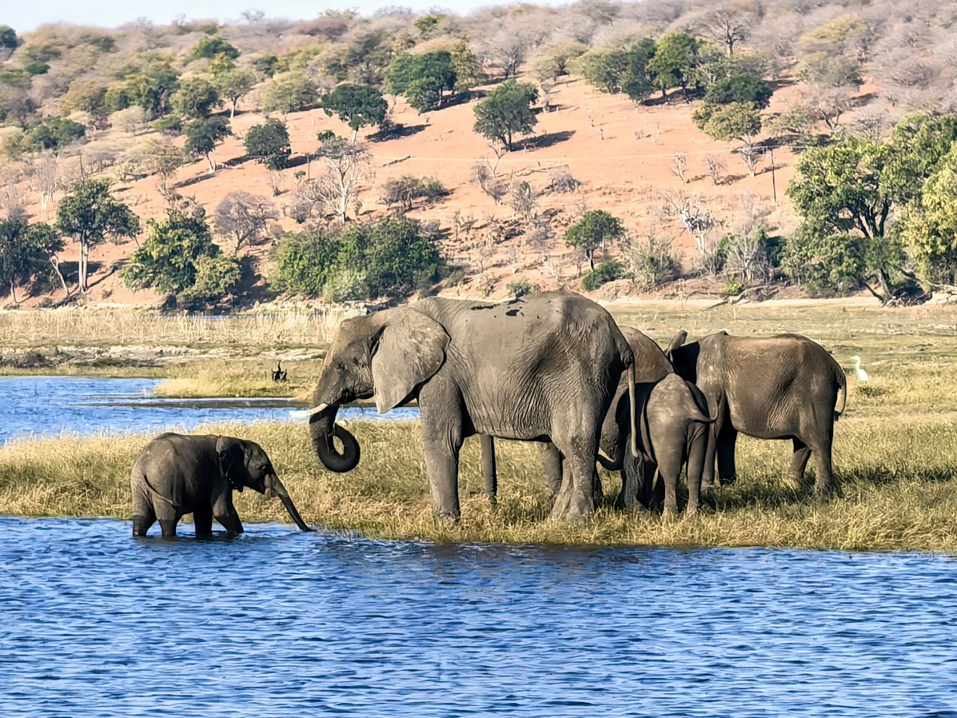 Okavango Delta, Botswana