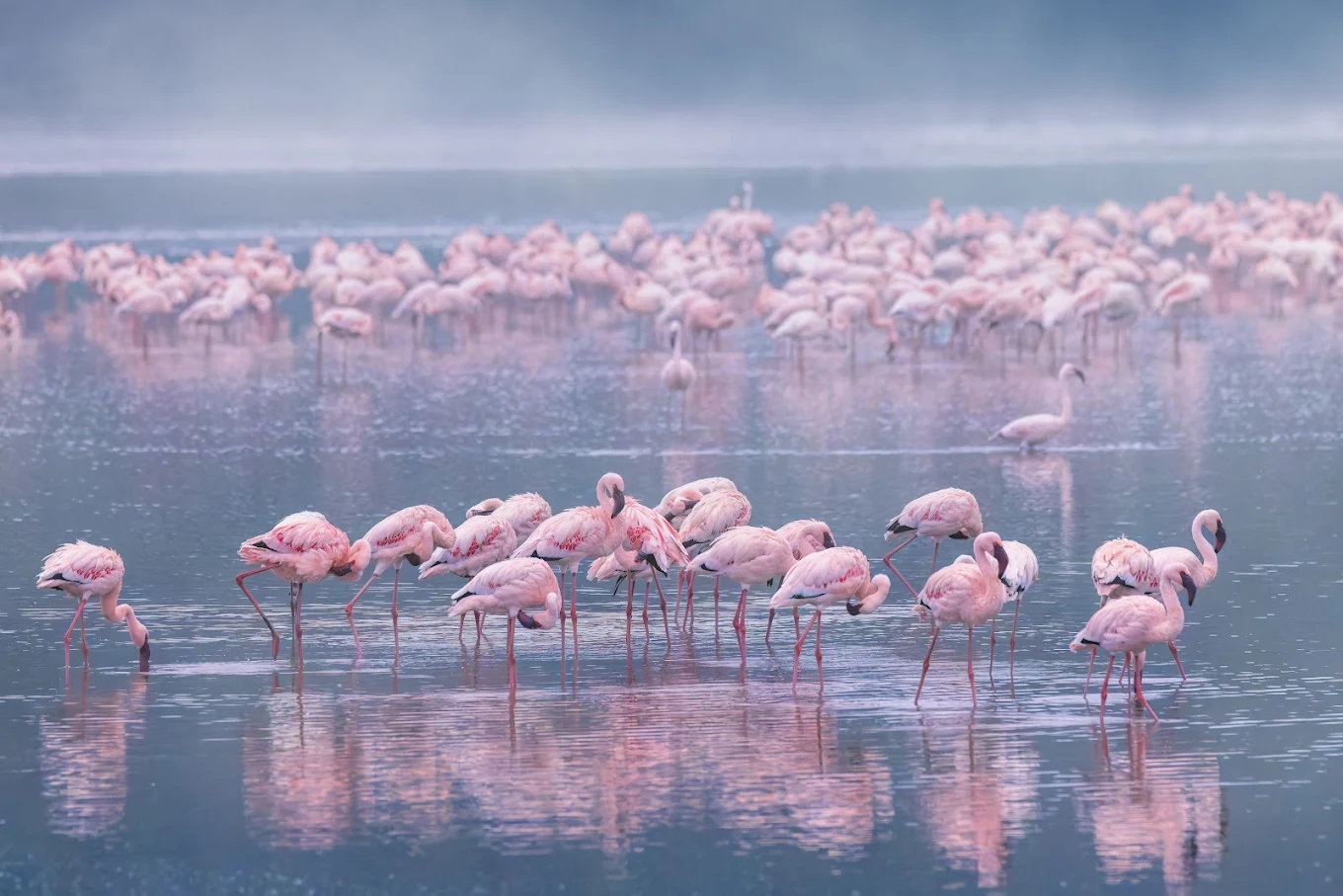 Kenya