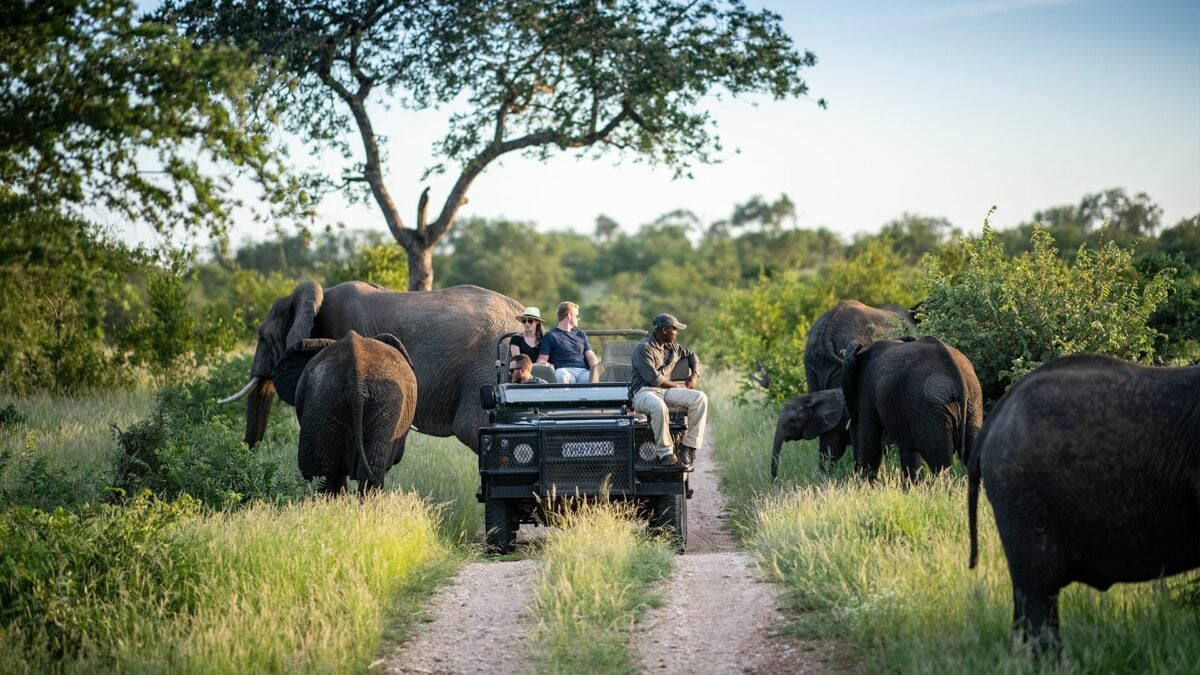 Full Day Kruger Safari
