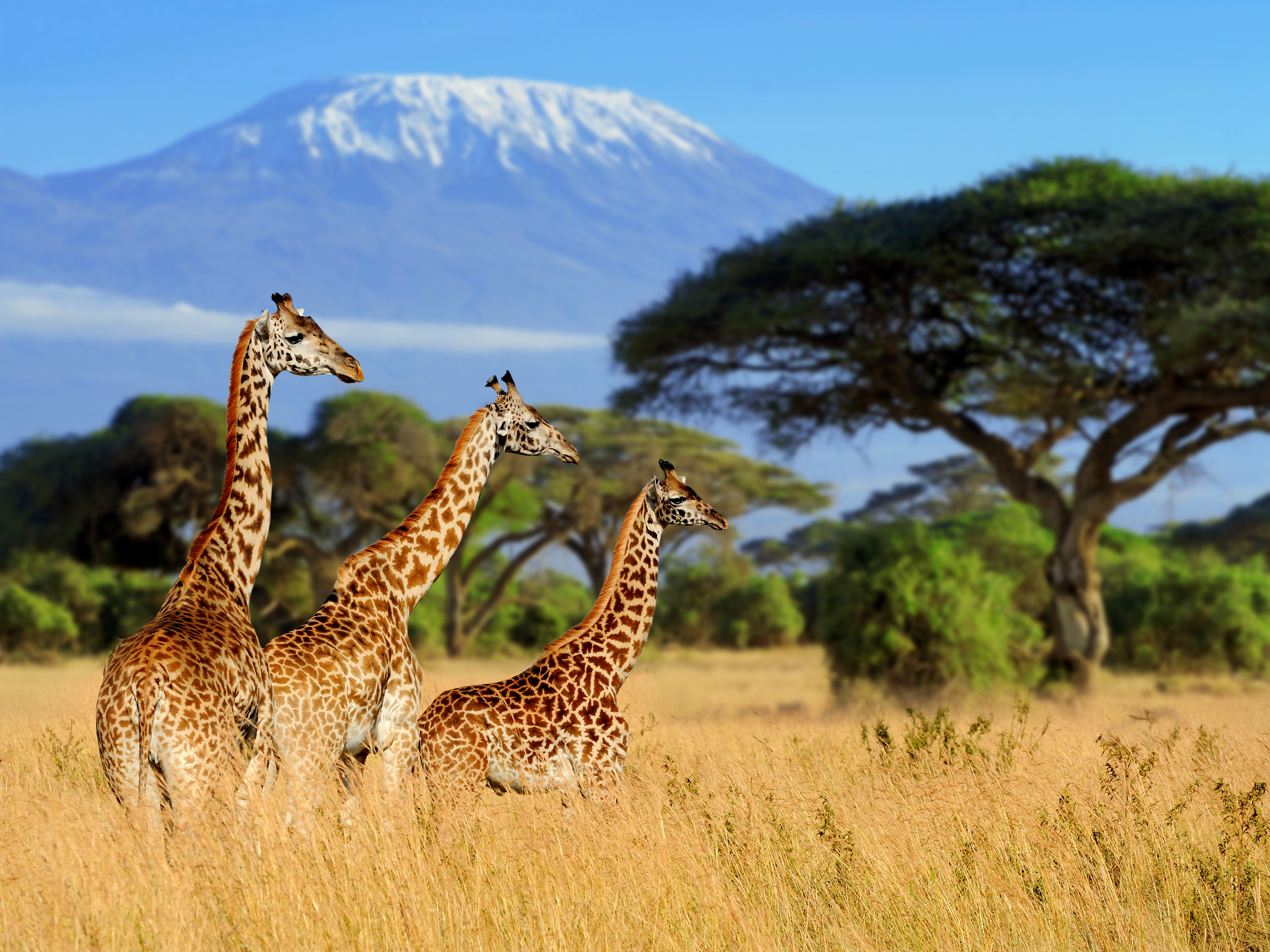 Tanzania3